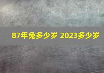 87年兔多少岁 2023多少岁